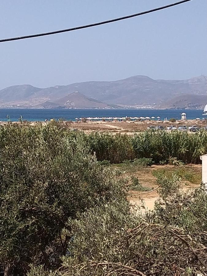 Nikoletta 1 Apartmán Agios Prokopios (Naxos)